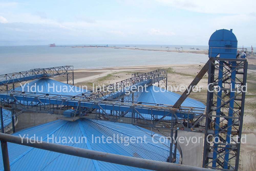 The High Capacity Grain Bucket Elevator with Best Price in China