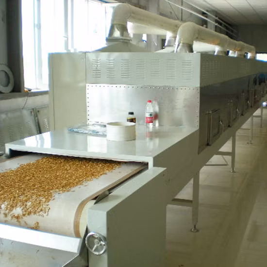 Industrieller Fördertunnel, Mikrowellentrockner, Sterilisationsausrüstung, schwarzer Soldat, Fliege, BSF, Larve, Maden, Tenebrio Molitor, Trocknungsmaschine