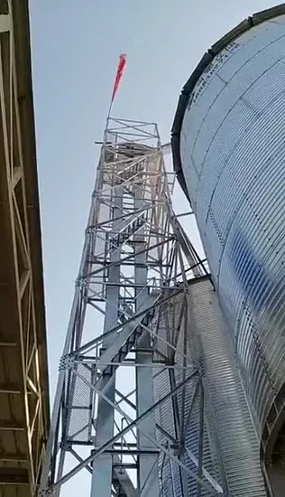Heißer Verkauf China-Fabrikpreis Vertikaler und flacher Boden-Weizen-Mais-Reis-Samen-Futtersilos Gebrauchter Förderband-Getreidebecherwerk