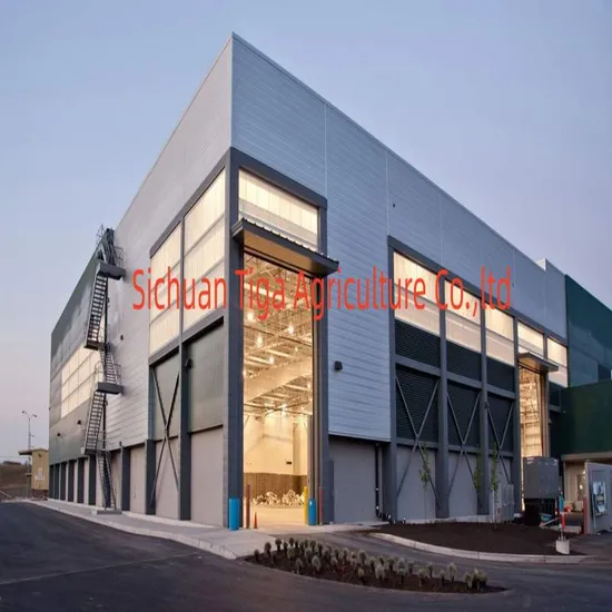 Hohe Qualität, hohe Effizienz, hohe Festigkeit und Kapazität, China-Fabrikpreis zum Verkauf, kundenspezifisches Modell, Weizen-Mais-Paddy, gebrauchtes vertikales Getreidebecherwerk
